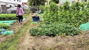 潭子買屋 重劃區菜園農地